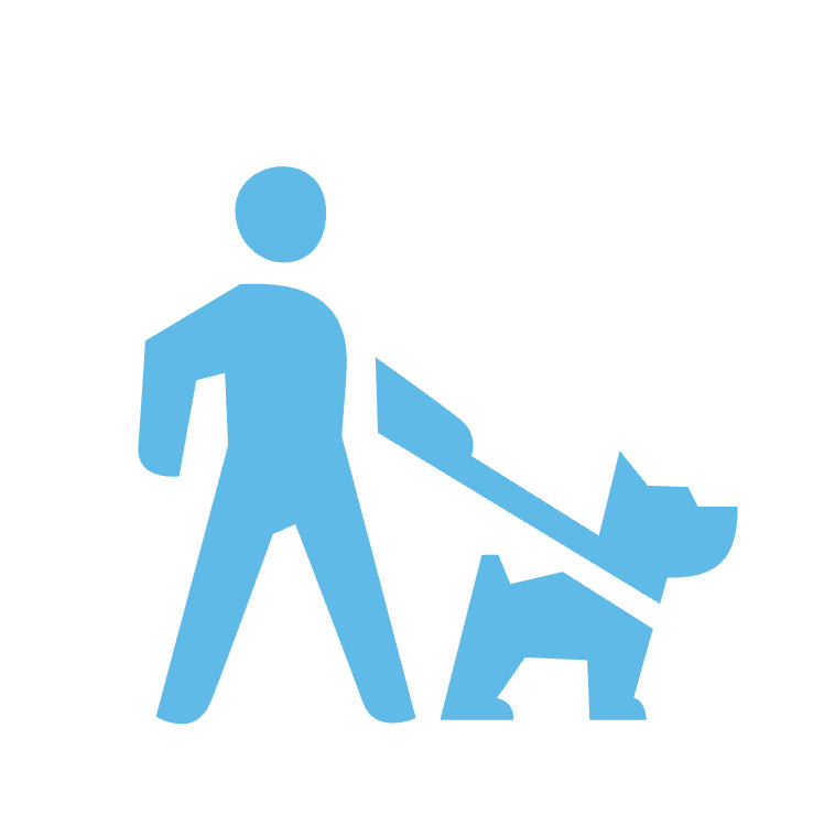 Les cani balades en structures